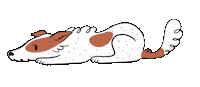 Dog Cola Sticker