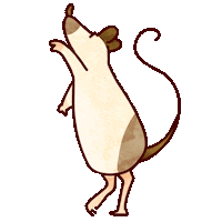 Rat Sticker
