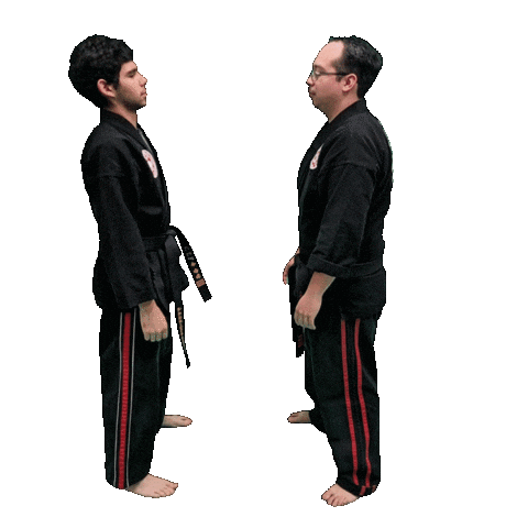 Karate Taekwondo Sticker by Team GMA
