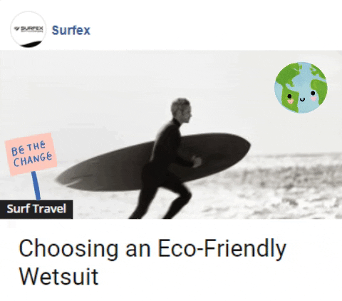 wetsuit oceanfriendly GIF by Gifs Lab