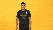Sport Calstatela GIF by Cal State LA Golden Eagles