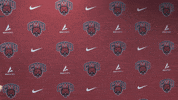 College Sports Sport GIF by CWU Athletics