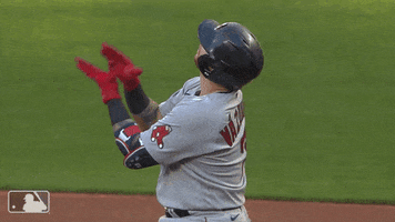 Major League Baseball Sport GIF by MLB