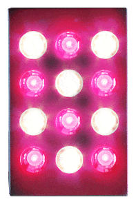 Hive Redlight Sticker by BLUblox