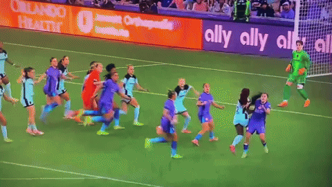 Savage0ffTheTopRope gotham fc akb ann katrin berger save of the season GIF