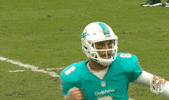 Miami Dolphins Football GIF by NFL