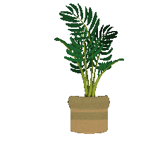 Plant Tree Sticker by Stana_