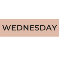 Wednesday Sticker by City Barre