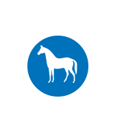 Pferdeliebe Sticker by Höveler Pferdefutter