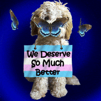 Lgbt Trans GIF