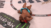 GIF by Bellator