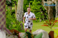bachelorinparadiseau love island bachelor paradise GIF