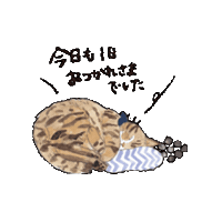 Cat ねこ Sticker