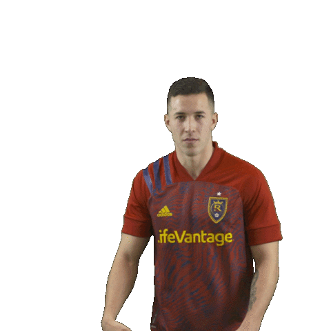 Major League Soccer Sticker by realsaltlake