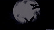 Trick Or Treat Halloween GIF by echilibrultau
