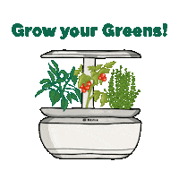 Plants Cooking Sticker by Bosch Home DE
