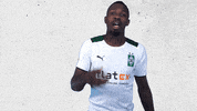 Bundesliga Bmg GIF by Borussia Mönchengladbach