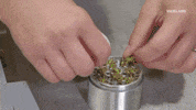 i see you laughing GIF by Bong Appétit