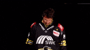 Hockey Del2 GIF by Krefeld Pinguine