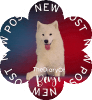 New Post Sticker