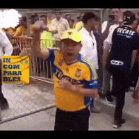 Liga Mx Tigres GIF