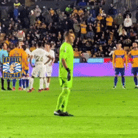 Liga Mx Tigres GIF