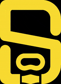 DSDIVERS padi liveaboard maldivas dsdivers GIF
