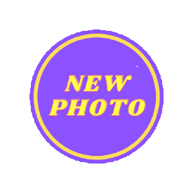 Np Sticker