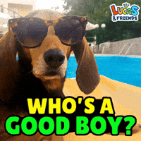 Good Boy Dog GIF by Lucas and Friends by RV AppStudios