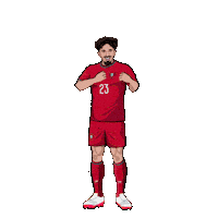 World Cup Football Sticker by Panini America