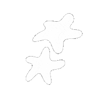 Flower Star Sticker