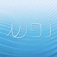 Nefesh GIF