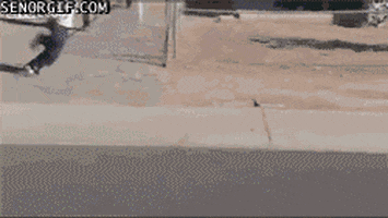 best of week wtf GIF by Cheezburger