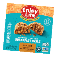 Gluten Free Breakfast Sticker by Enjoy Life Foods