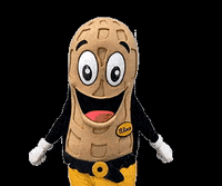 fselrincon happy yay feliz bravo GIF