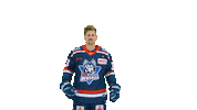 Eishockey Sticker by EC Kassel Huskies