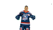 Eishockey Sticker by EC Kassel Huskies