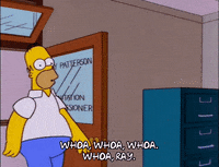 homer simpson episode 22 GIF