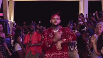 No Guidance GIF by Chris Brown