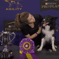GIF by Westminster Kennel Club
