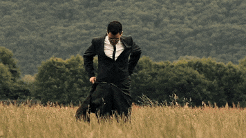 the-enterpreneurs royal morgan cielo dox GIF