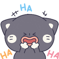 Lookiivn cutie cute cat funny cat de thuong Sticker