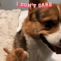 Corgi I Dont Care GIF