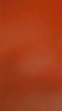 Nugget GIF by Youtooz