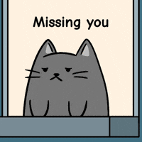 Lonely Thinking Of You GIF by MESA My Emotional Support Animal