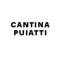 Wine Vino Sticker by Cantina Puiatti