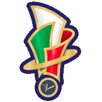 Itatkd Olympicdreamcup Sticker by FITA - Federazione Italiana Taekwondo