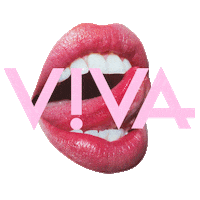 Vivapride Nietsteverbergen Sticker by Viva NL