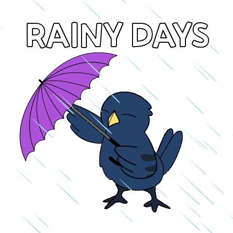 Bitcoin Rain Sticker by Ordinary Frends
