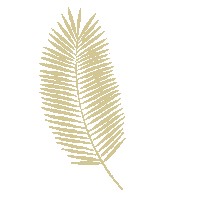 Palm Tree Summer Sticker by Maison Mirabeau